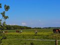 IMG-20210207-WA0050